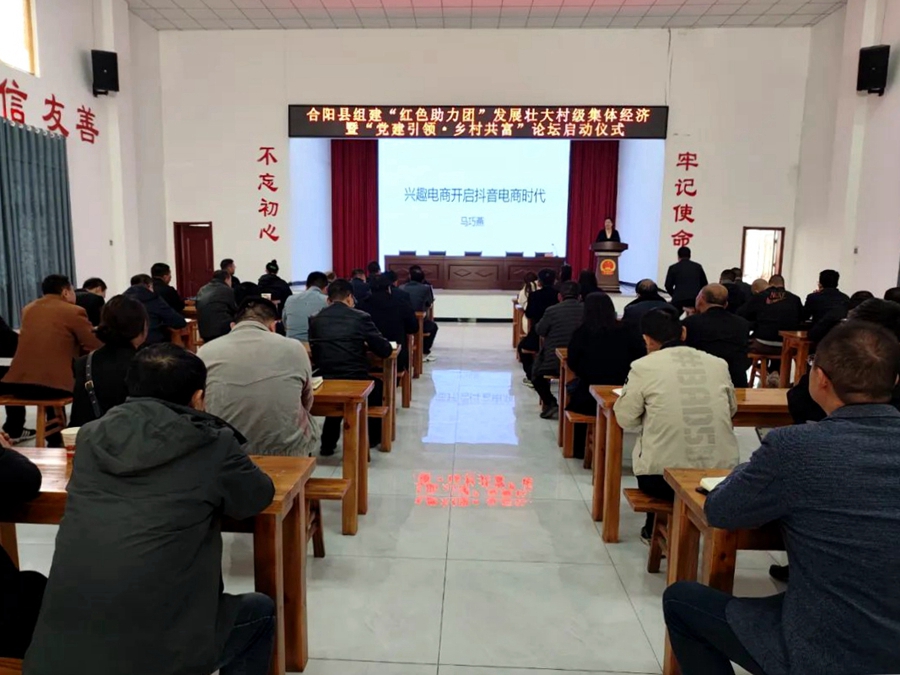 合陽縣“黨建引領·鄉村共富”論壇開辦。