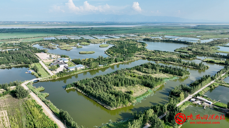 DJI_0373