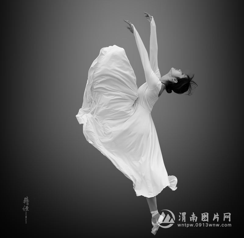 《飞仙》