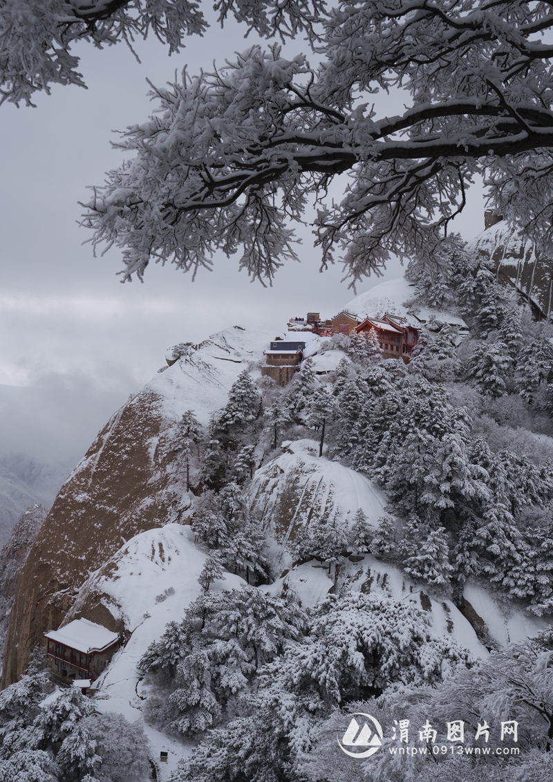 《华山初雪》