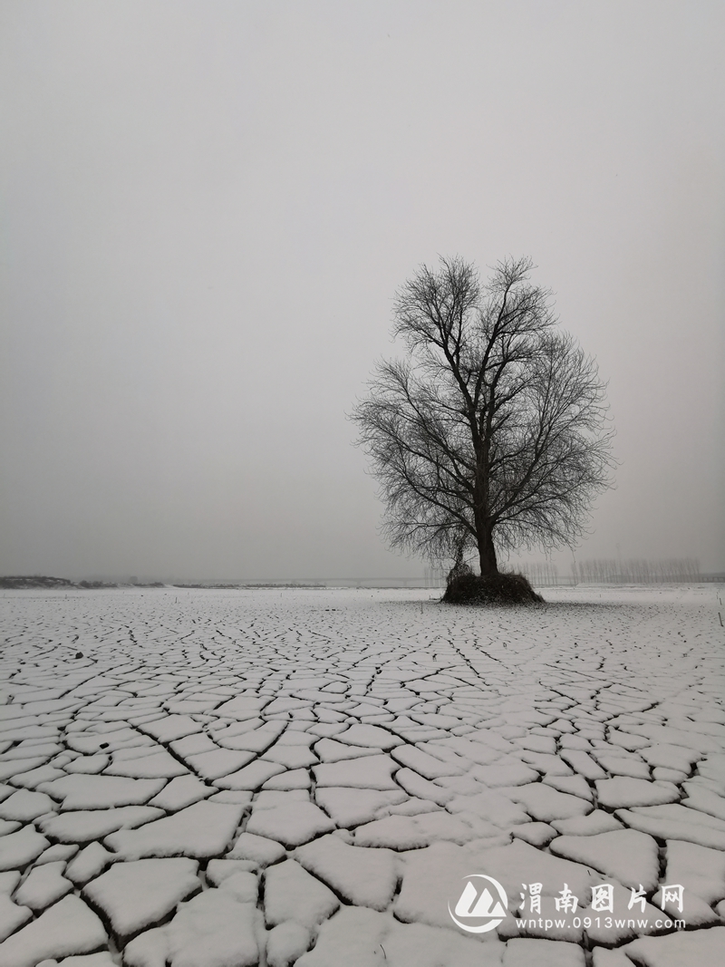 《久旱逢小雪》