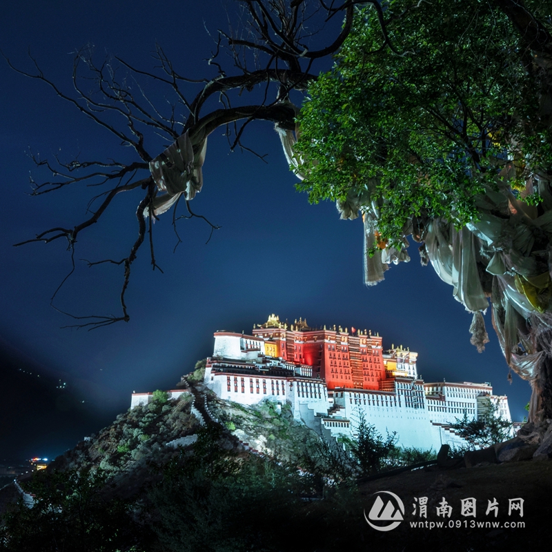《夜色布达拉》