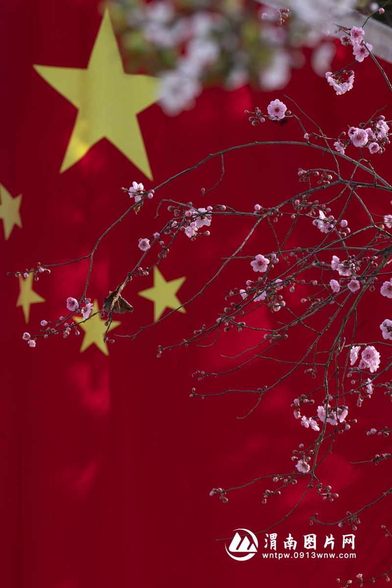 《中国红》