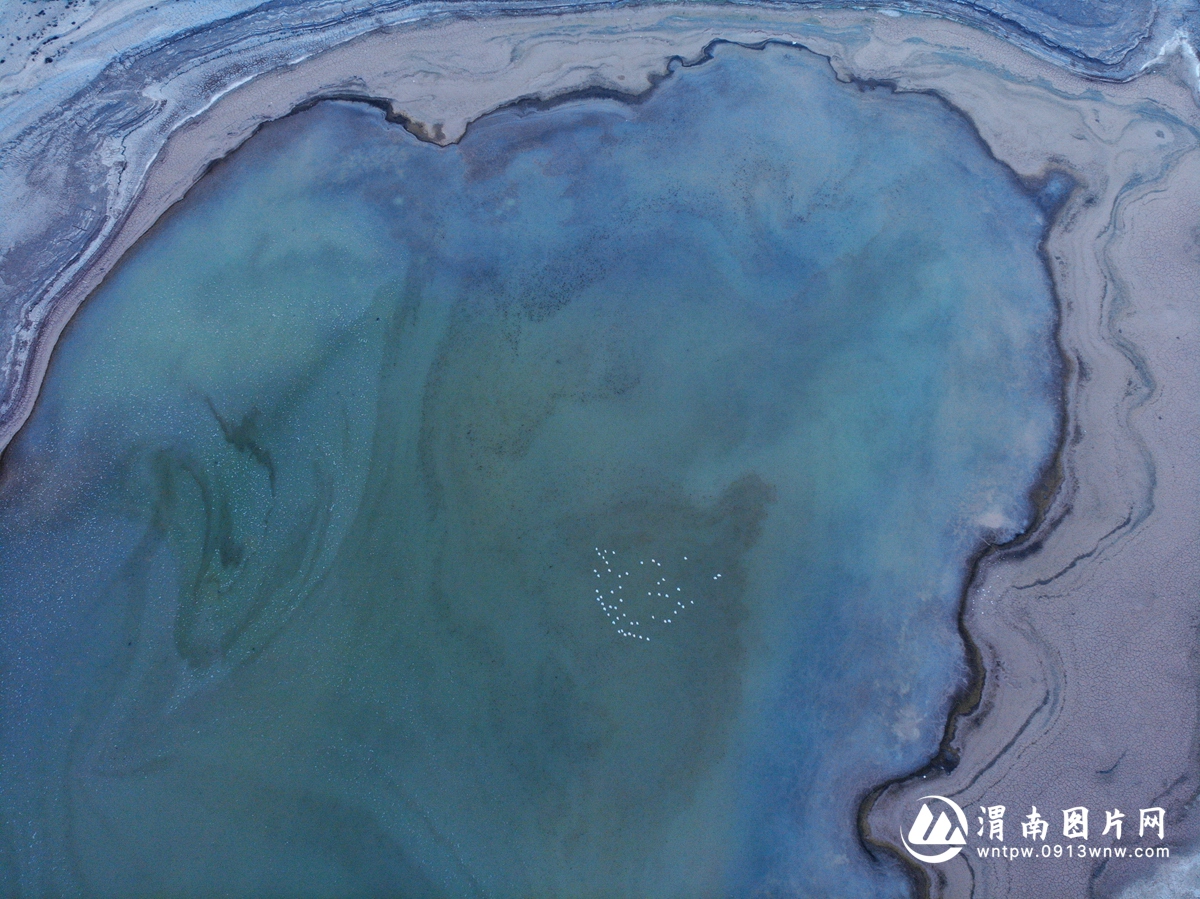 DJI_0398