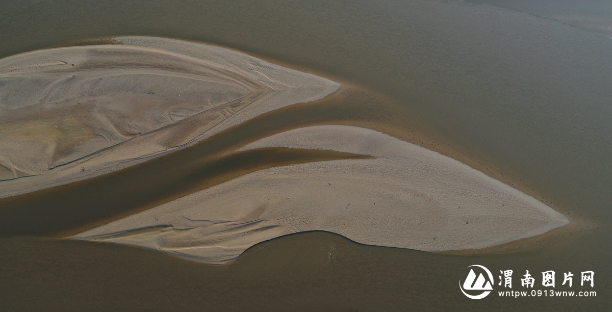 DJI_0973